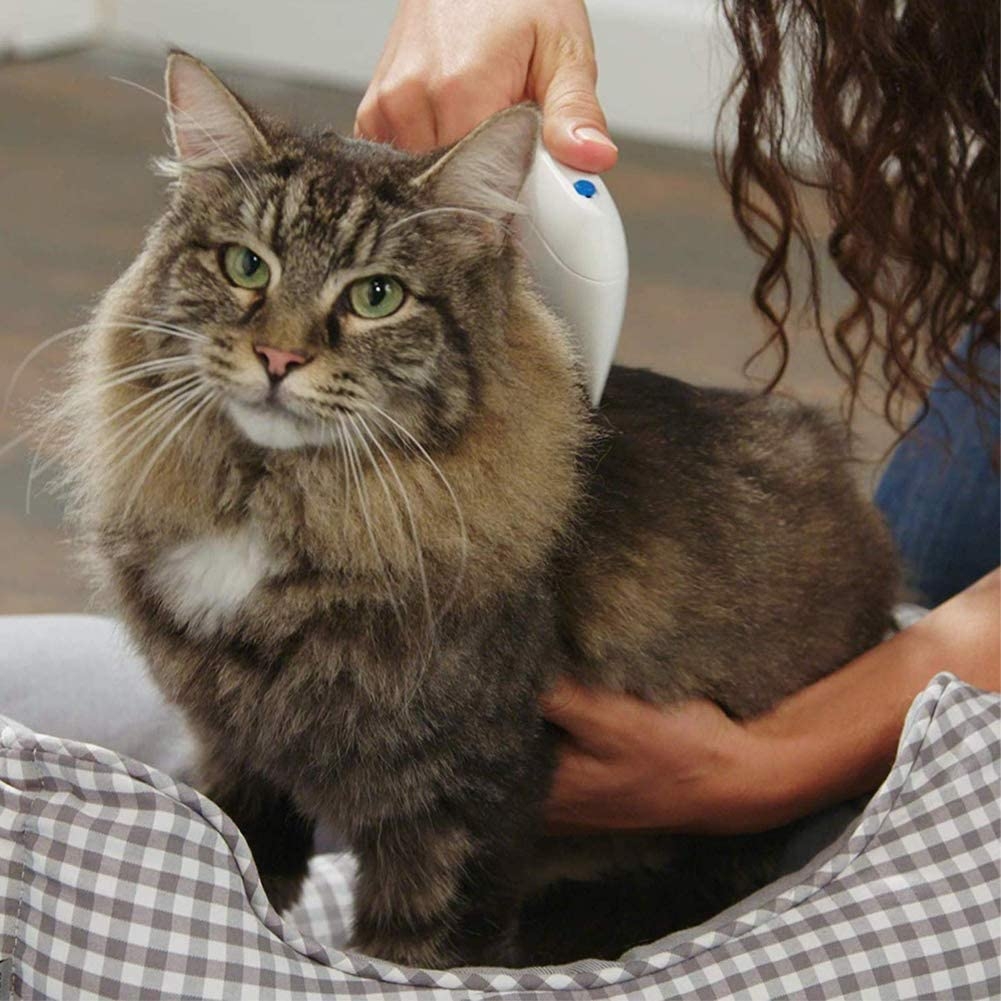 Electric Anti Flea Pet Cleaning Brush Electric Anti Flea Pet Cleaning Brush