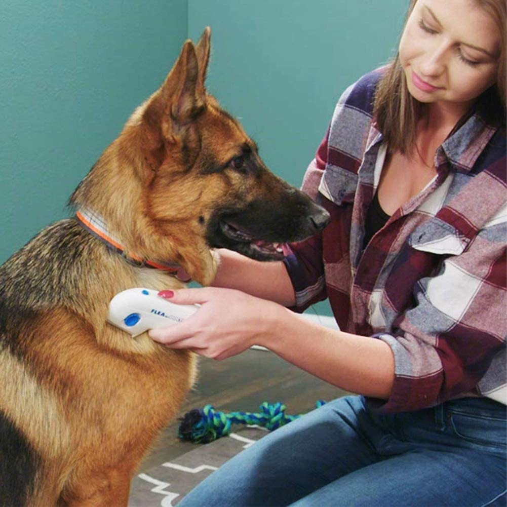Electric Anti Flea Pet Cleaning Brush Electric Anti Flea Pet Cleaning Brush