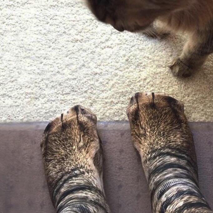 Adult Cat Paw Sock 3D Print Adult Cat Paw Sock 3D Print