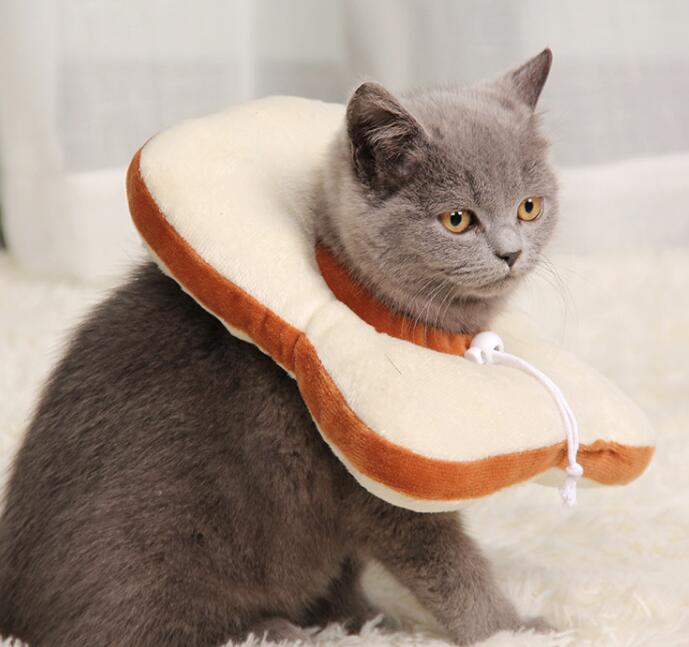 Pet Dogs Cats Collar Headgear Pet Dogs Cats Collar Headgear