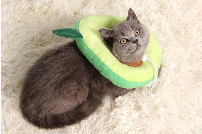 Pet Dogs Cats Collar Headgear Pet Dogs Cats Collar Headgear