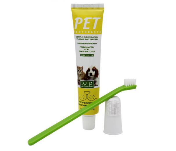 Pet Toothbrush &amp; Toothpaste Set Teeth Cleaning