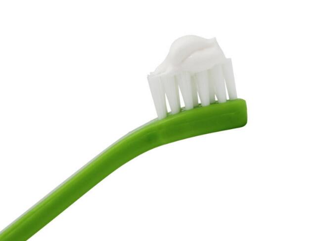 Pet Toothbrush &amp; Toothpaste Set Teeth Cleaning