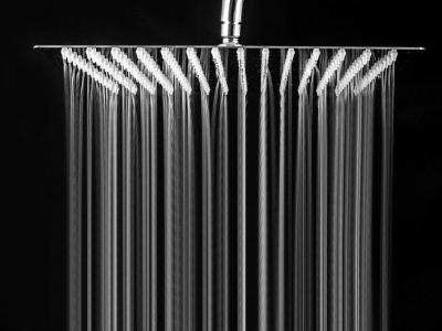 Stainless Steel Shower Head 10 inch