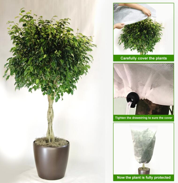 Plant Protection Bags 80x100 CM