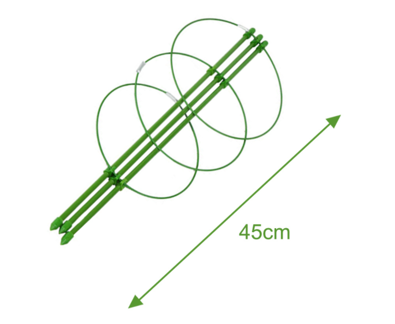 Vine Climbing Plant Frame