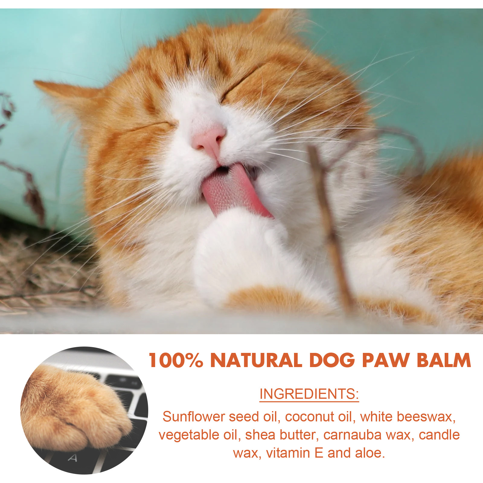 Paw Balm for Dogs and Cats