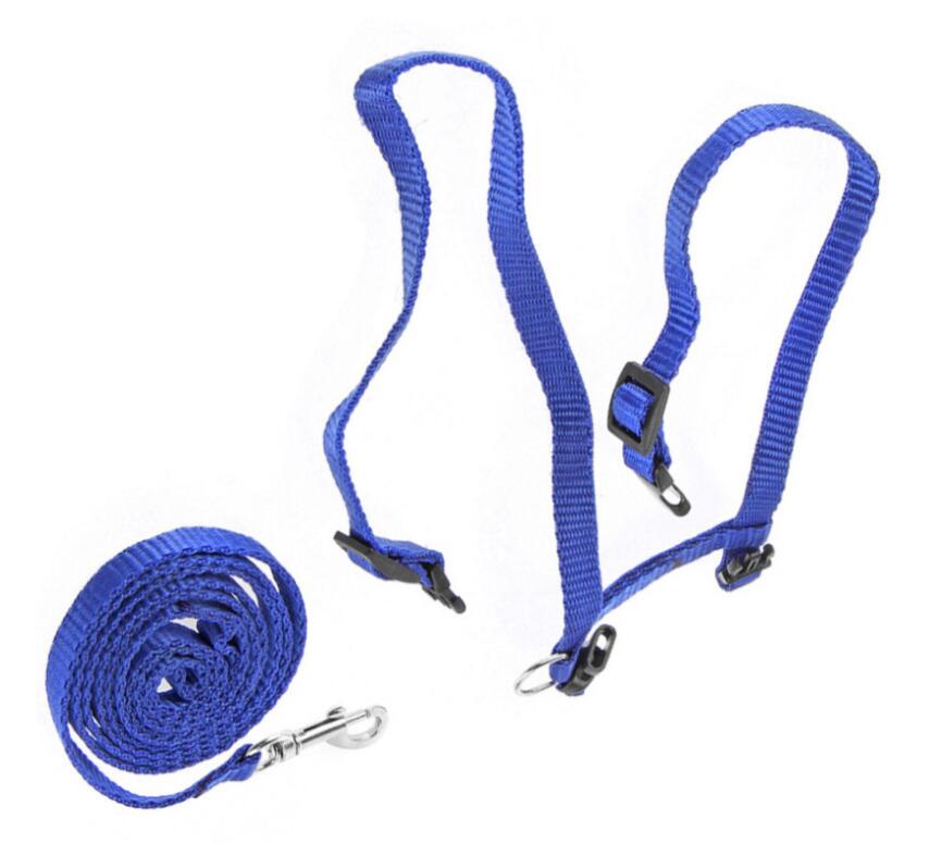 Cat Harness attached lead Cat Harness attached lead