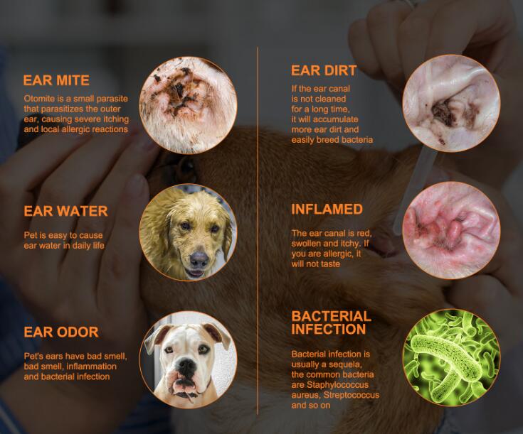 Swab Cleaning Ear Canal for Pets Swab Cleaning Ear Canal for Pets