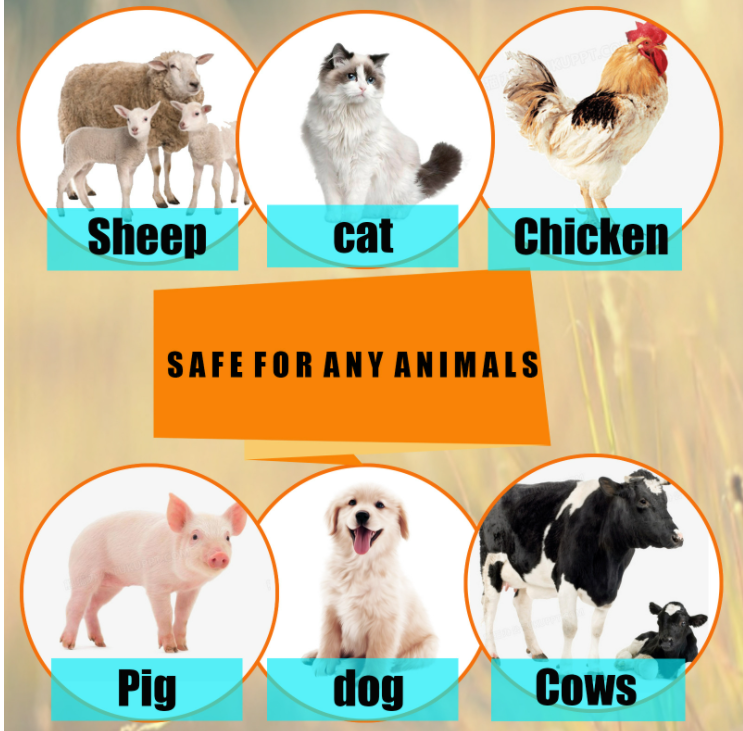 Pet anti-flea spray insect repellent