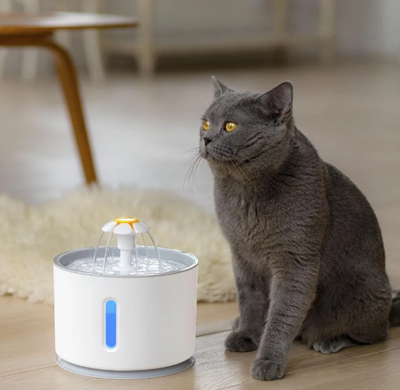 Pet Water Fountain Stainless Steel Drinking Dispenser