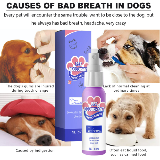 Pet Oral Care Cleaning Spray 60ml Pet Oral Care Cleaning Spray 60ml