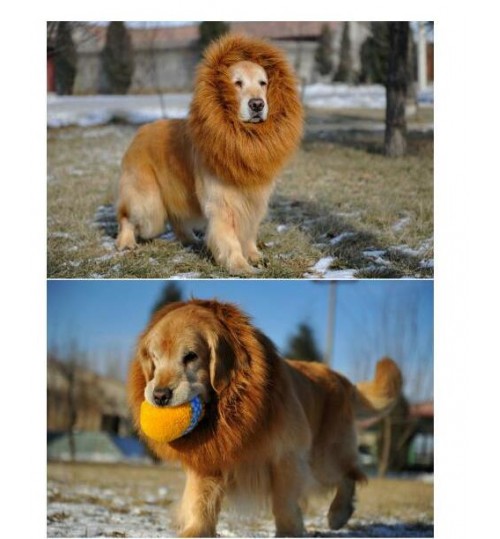 Pet Dog Costume Fancy Dress Up Wig - LION Pet Dog Costume Fancy Dress Up Wig - LION