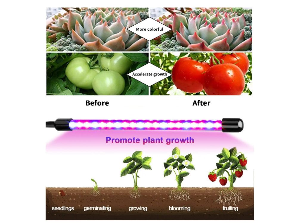 LED Grow Light seed Grow Lights for Indoor Plants Sun Lamp LED UV Bulb LED Grow Light seed Grow Lights for Indoor Plants Sun Lamp LED UV Bulb