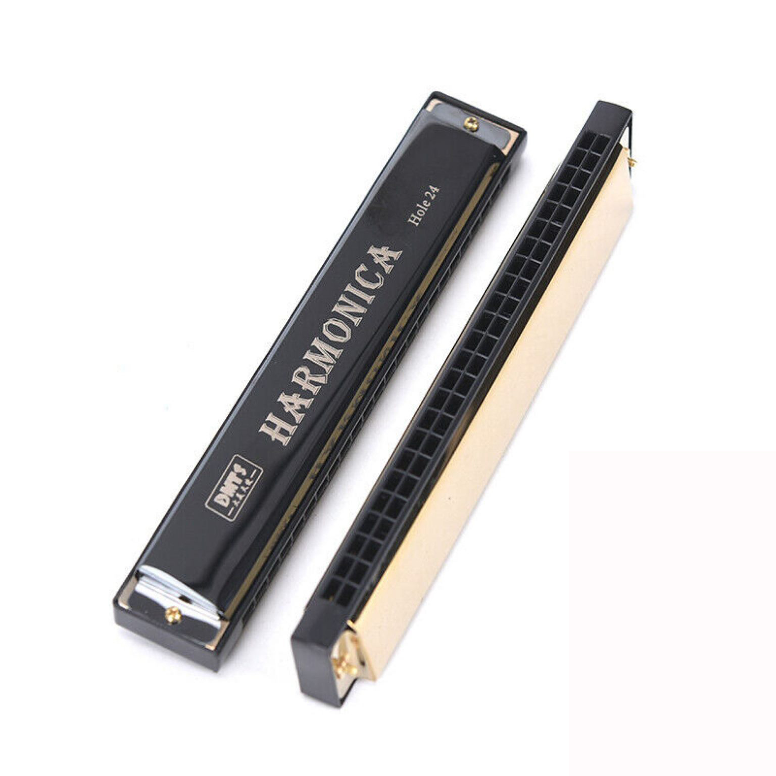 Professional 24 Hole Harmonica Mouth Metal Organ