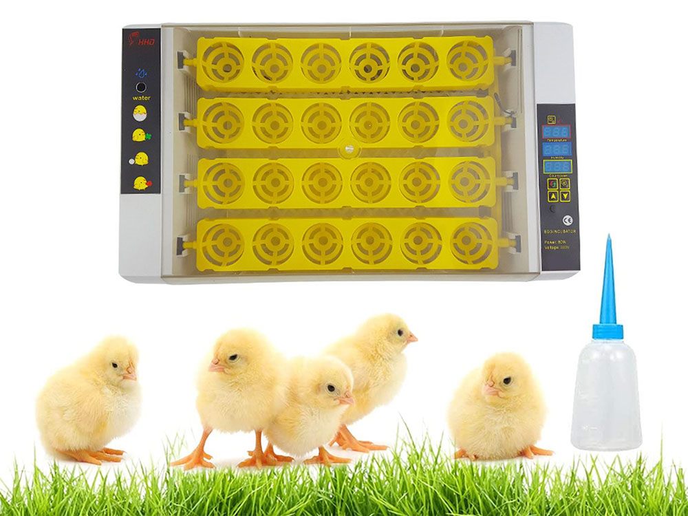 Automatic Egg Incubator