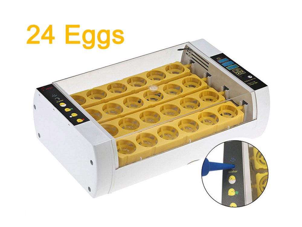 Automatic Egg Incubator