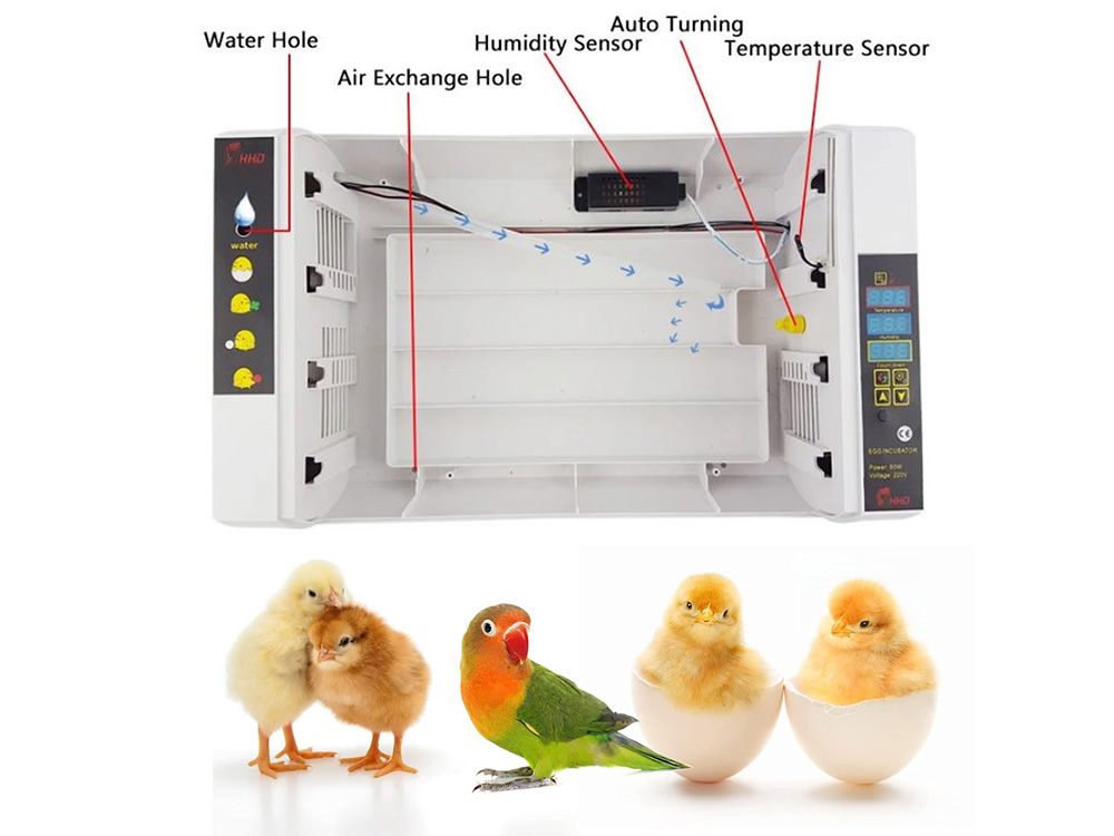 Automatic Egg Incubator