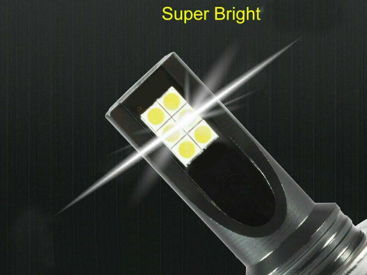 H11 LED Bulbs