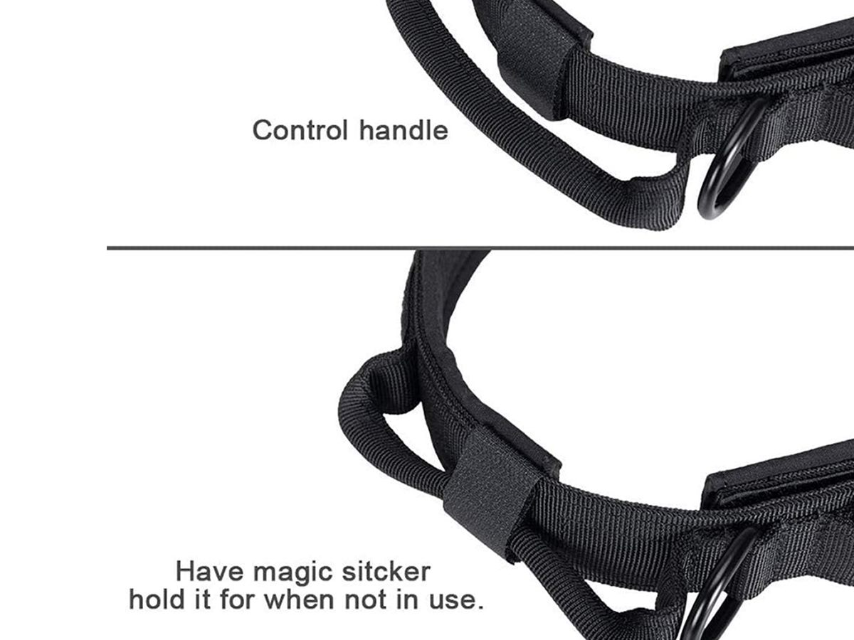 Adjustable Dog Collars XL Adjustable Dog Collars XL